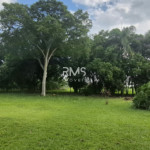 SÍTIO À VENDA EM ELIAS FAUSTO 21.900 m² - ÓTIMA TOPOGRAFIA E EXCELENTE LOCALIZAÇÃO