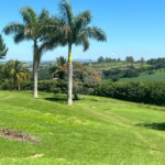 Área de Terra à venda em Portal São Marcelo, Bragança Paulista, SP