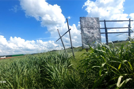 Terreno à venda em Portal das Laranjeiras, Araraquara, SP
