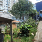 Casa à venda com 3 quartos em Mandaqui, São Paulo, SP