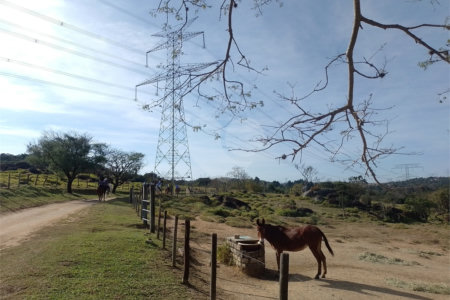 Casa à venda com 7 suítes no condomínio Clube de Campo Valinhos, Valinhos - SP