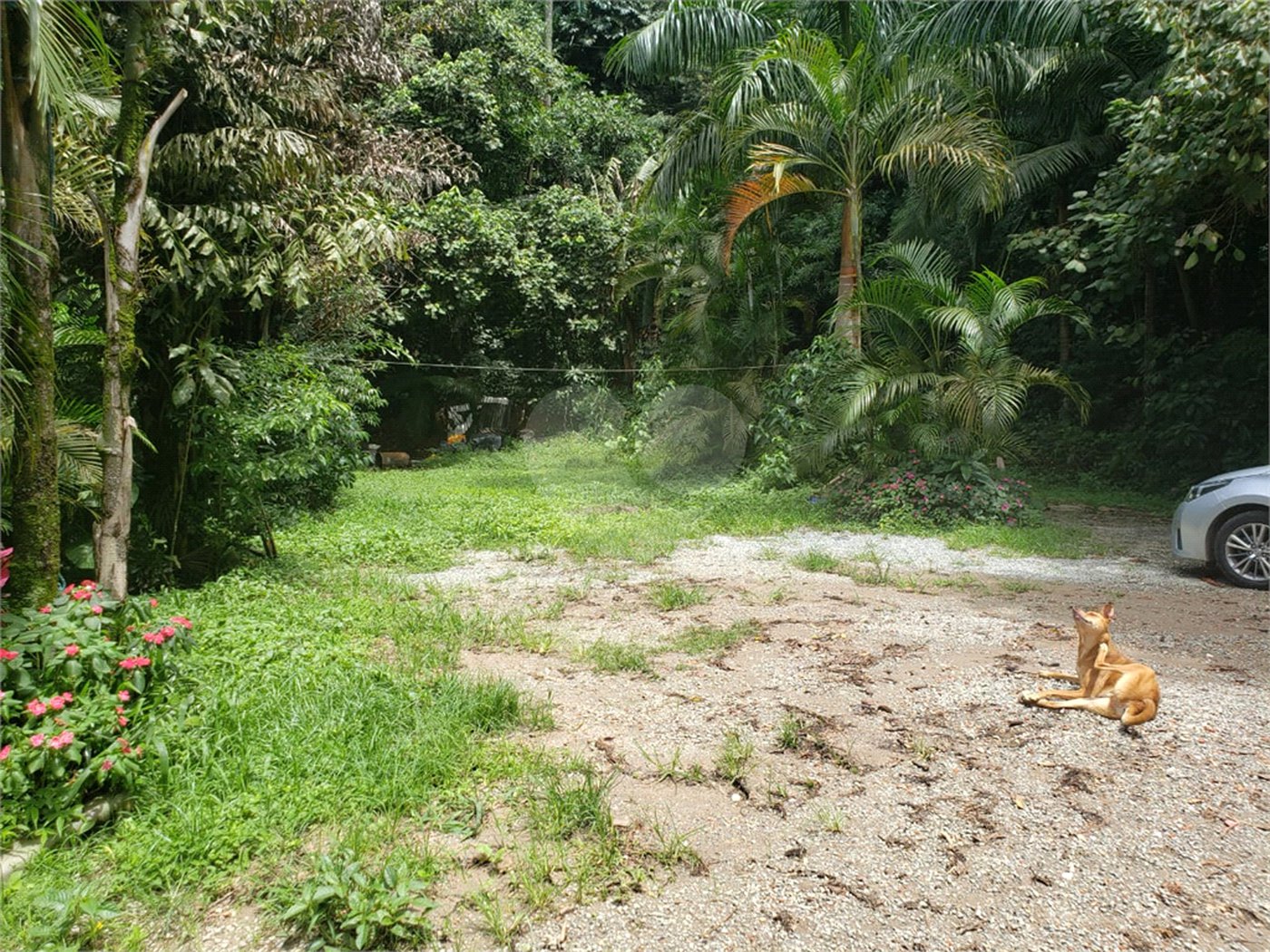 Terreno à venda em Horto, São Paulo, SP