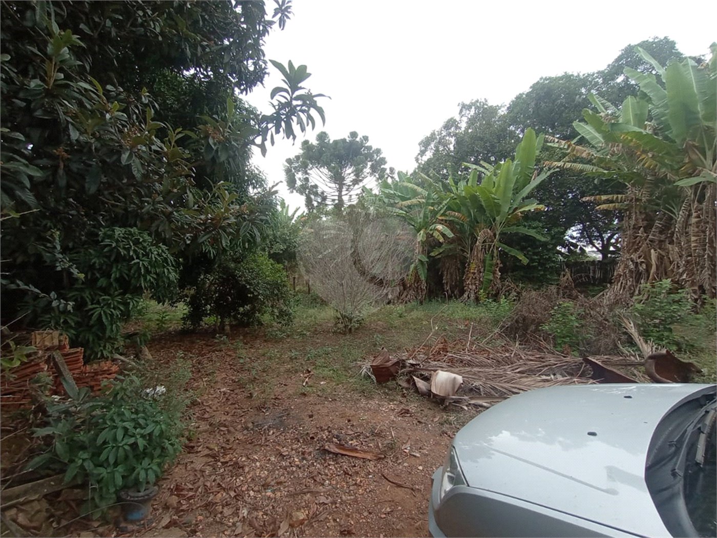 Chácara à venda com 3 quartos em Vila Belo Horizonte, Itapetininga, SP