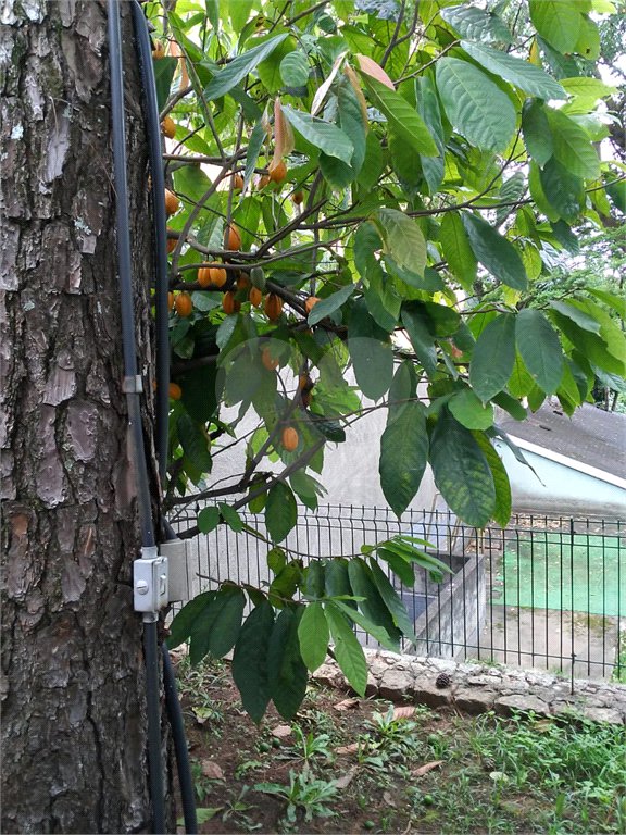 Sobrado à venda com 4 quartos, sendo 1 suíte, em Jardim Floresta, São Paulo, SP