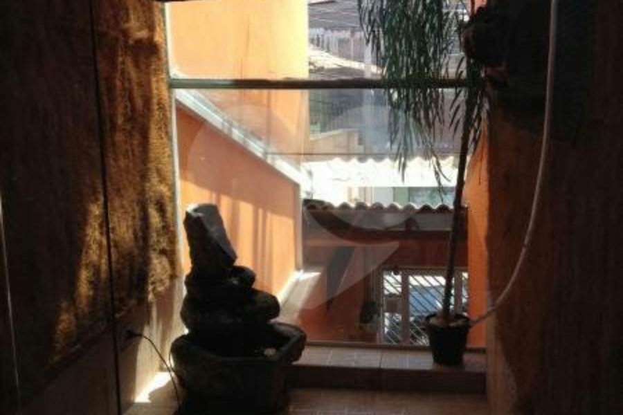 Sobrado à venda com 3 quartos, sendo 1 suíte, em Vila Nova Cachoeirinha, São Paulo, SP