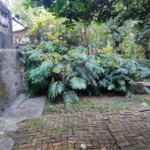 Terreno à venda em Tucuruvi, São Paulo, SP