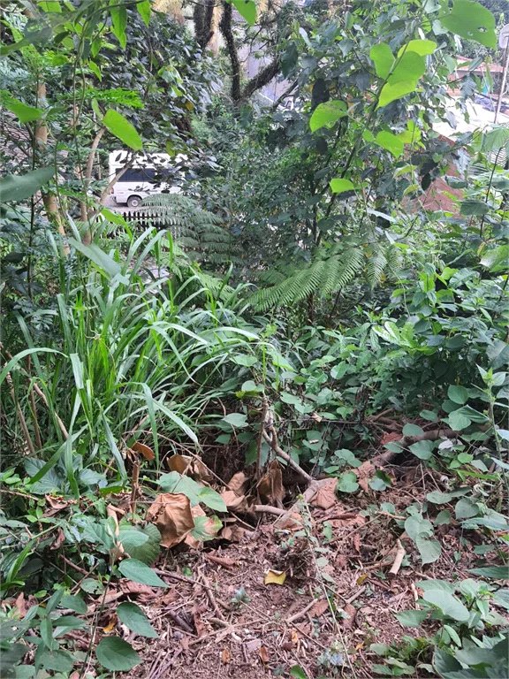 Loteamento à venda em Jardim Amália, São Paulo, SP