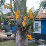 Casa à venda com 3 quartos, sendo 1 suíte, no condomínio Parque da Fazenda, Itatiba - SP