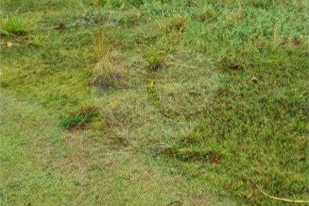 Terreno para alugar no Centro, Vinhedo, SP