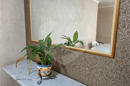 Apartamento à venda com 3 quartos em Vila Campestre, São Paulo, SP