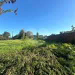 Terreno à venda em Pedro Juan Caballero, Amambay