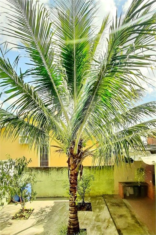 Sobrado à venda com 3 quartos em Água Fria, São Paulo, SP