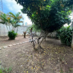 Casa à venda com 3 quartos, sendo 1 suíte, em Vila Aurora, Indaiatuba, SP