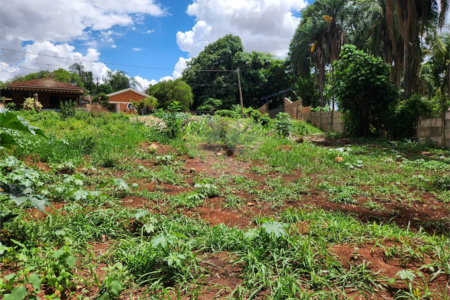 Terreno à venda em Jardim do Carmo, Araraquara, SP
