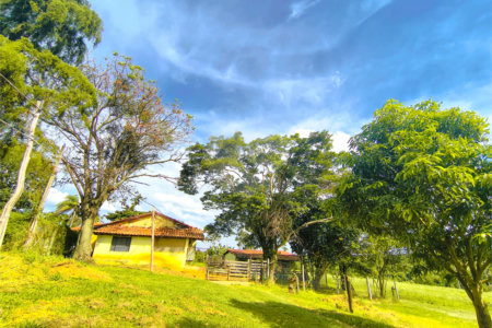 Sítio à venda com 3 quartos em Campo de Boituva, Boituva, SP