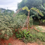Chácara à venda com 2 suítes em Mato Seco, Itapetininga, SP