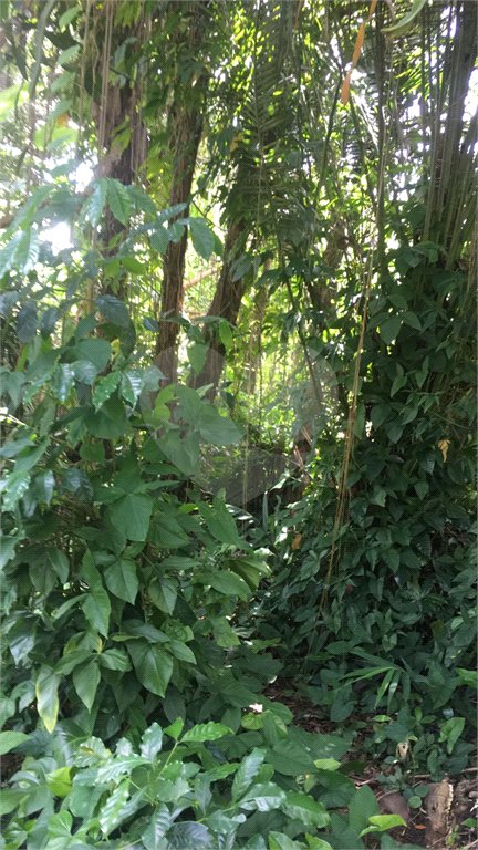 Terreno à venda ou para alugar em Horto, São Paulo, SP