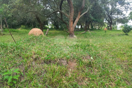 Terreno à venda em Chácaras do Guacuri, Itupeva, SP