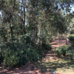 Chácara à venda com 6 quartos, sendo 2 suítes, em Jardim Brogotá, Atibaia, SP
