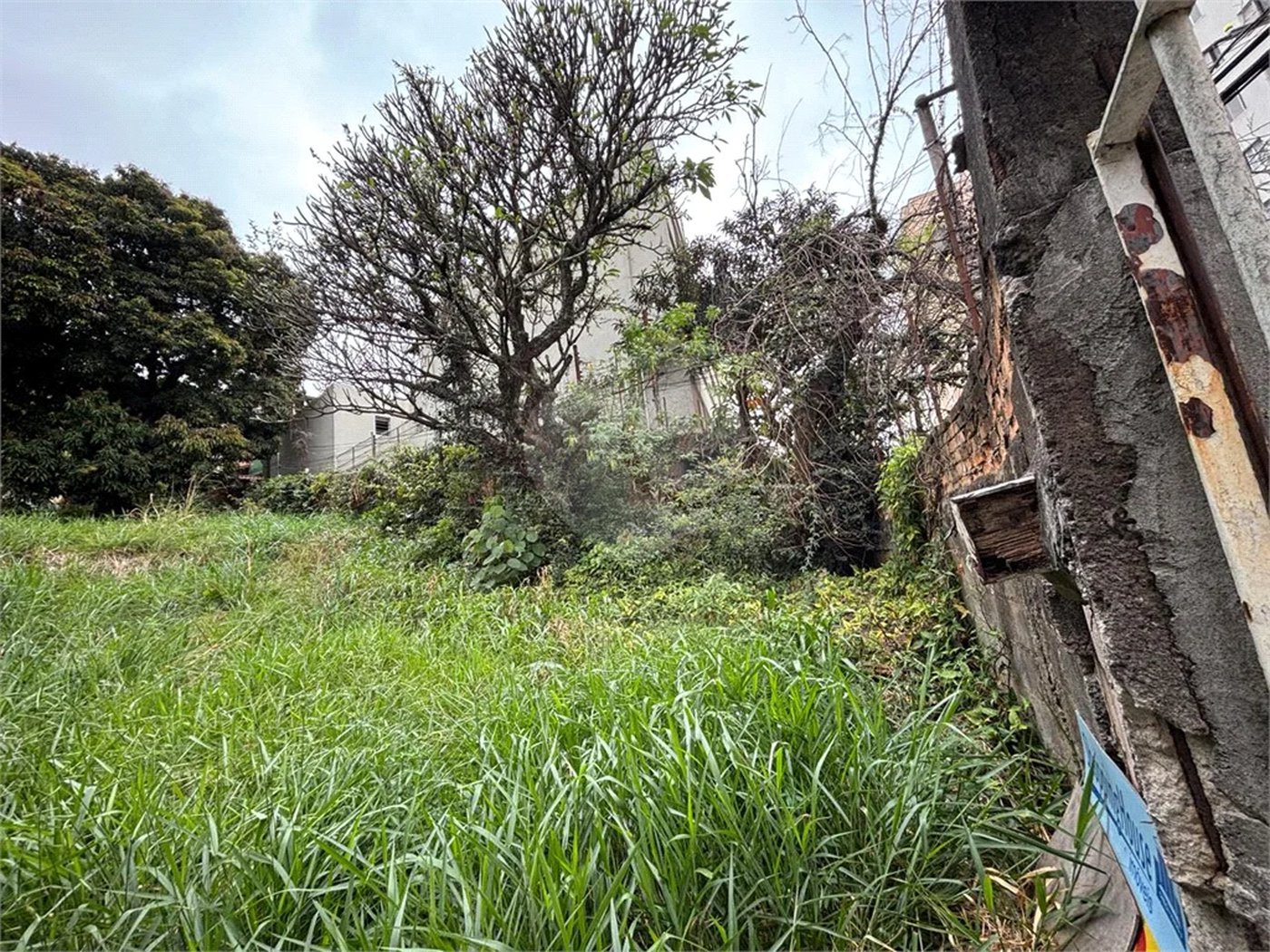 Terreno à venda em Santa Teresinha, São Paulo, SP