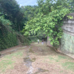 Casa à venda com 2 quartos em Serra da Cantareira, Mairiporã, SP
