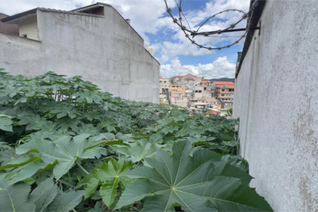 Terreno à venda em Jardim Guapira, São Paulo, SP