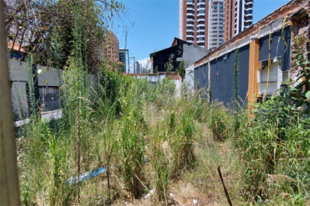 Terreno à venda ou para alugar em Chácara Santo Antônio, São Paulo, SP