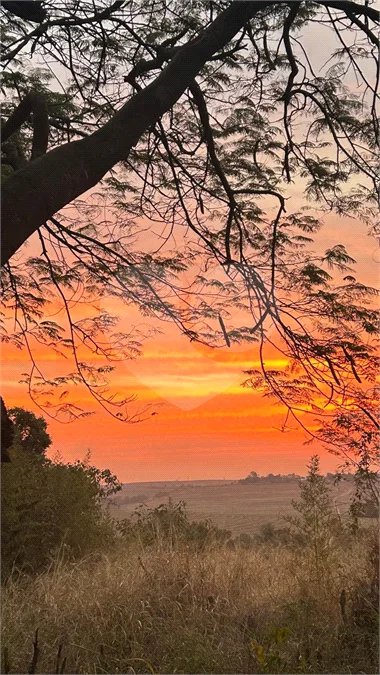 Sítio à venda com 8 quartos, sendo 3 suítes,  em Monte Alegre, Vinhedo, SP