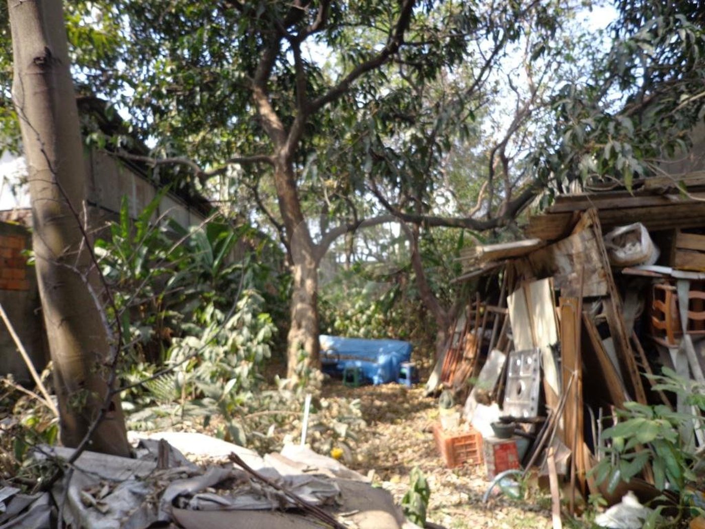 Terreno à venda em Jaçanã, São Paulo, SP