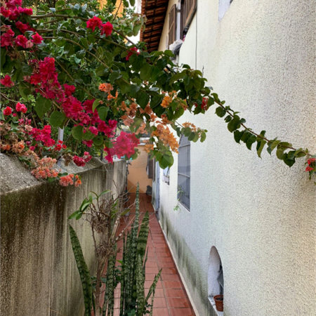Sobrado à venda com 3 quartos, sendo 1 suíte, em Vila do Castelo, São Paulo, SP