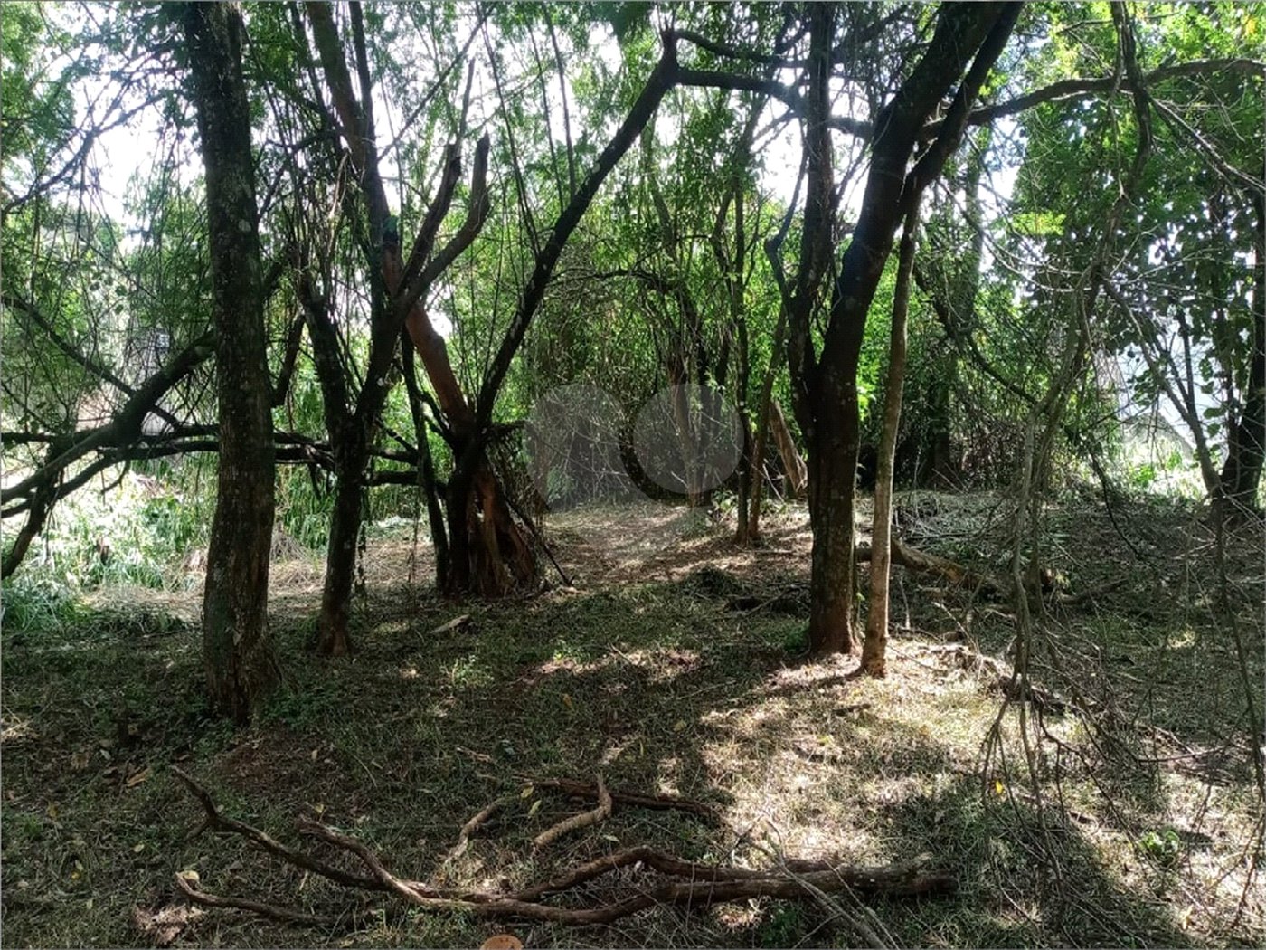 Terreno à venda em Vila Pedra Branca, São Paulo, SP