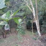 Chácara à venda com 5 quartos, sendo 1 suíte, em Jardim Marabá, Itapetininga, SP