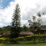 Fazenda à venda com 11 quartos no Centro, Analândia, SP