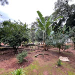 Casa à venda ou para alugar com 5 quartos em Roseira, Mairiporã, SP