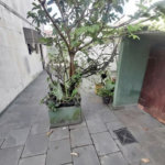 Apartamento Residencial à venda, Boqueirão, Praia Grande - AP1103.