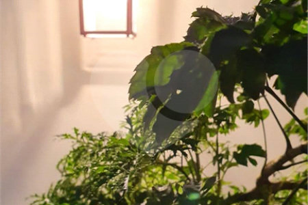Casa à venda com 3 quartos, sendo 1 suíte,  em Jardim Aeroporto, São Paulo, SP