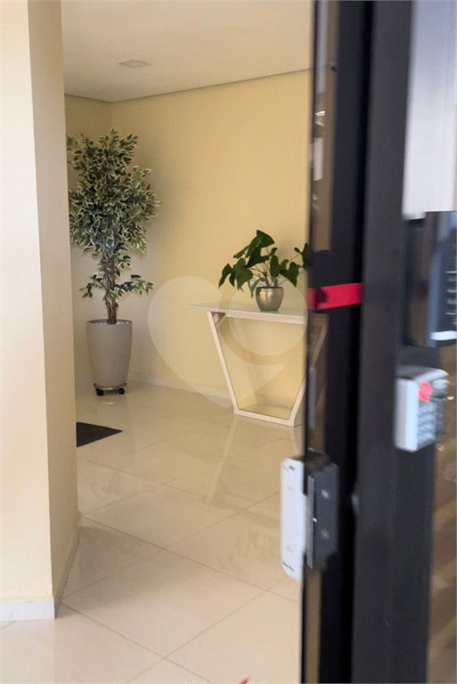 Apartamento à venda ou para alugar com 2 quartos em Vila Mascote, São Paulo, SP
