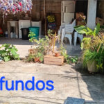 Sobrado à venda com 6 quartos em Vila Campestre, São Paulo, SP