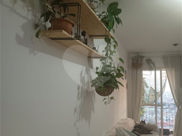 Apartamento à venda com 2 quartos, sendo 1 suíte,  em Mandaqui, São Paulo, SP