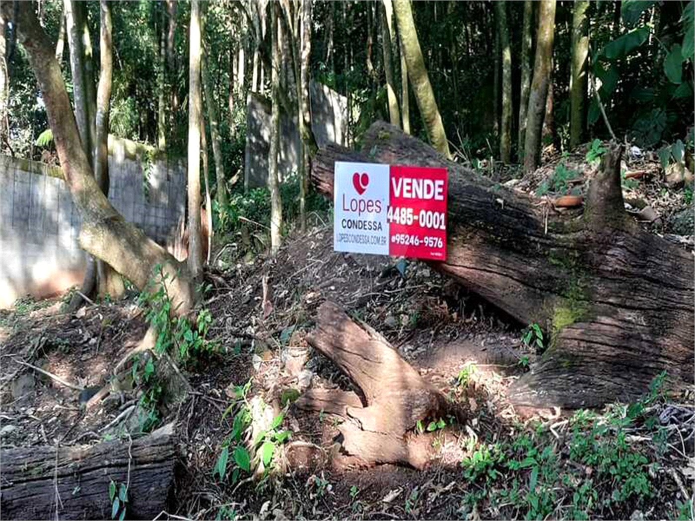 Terreno à venda em Serra da Cantareira, Mairiporã, SP