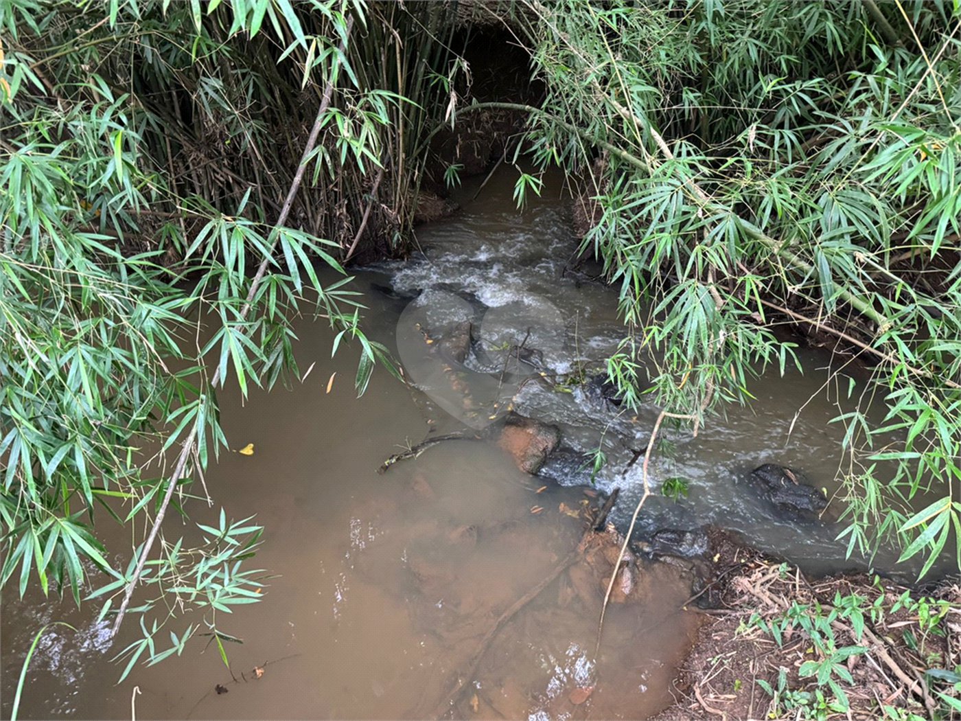 Sítio à venda com 3 quartos, sendo 2 suítes,  em Cachoeira, Atibaia, SP