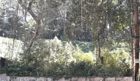 Terreno à venda em Vila Andrade, São Paulo, SP