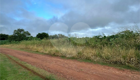 Terreno à venda em Bosque de Ponta Porã, Ponta Porã, MS