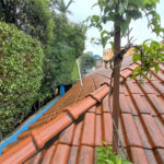 Sobrado à venda com 4 quartos em Vila Madalena, São Paulo, SP