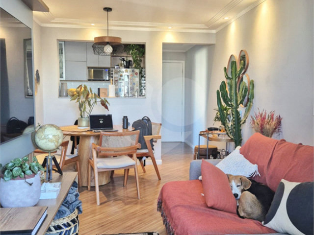 Apartamento à venda com 3 quartos, sendo 1 suíte,  em Vila Nova Cachoeirinha, São Paulo, SP