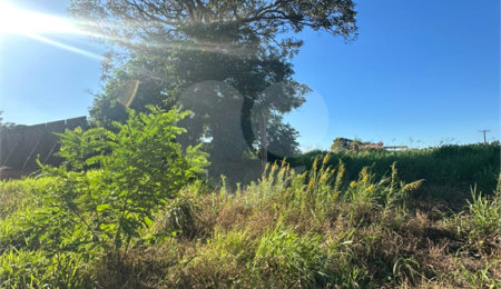 Terreno à venda em Pedro Juan Caballero, Amambay