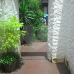 Sobrado à venda com 4 quartos, sendo 2 suítes, em Vila Madalena, São Paulo, SP