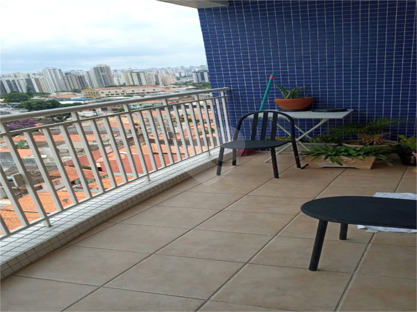 Apartamento à venda com 3 quartos, sendo 1 suíte, em Vila Brasilina, São Paulo, SP
