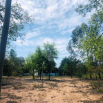 Sítio à venda com 3 quartos em Área Rural de Três Lagoas, Três Lagoas, MS