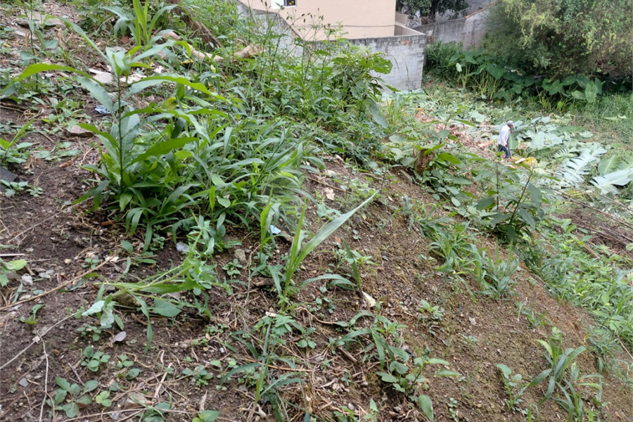 Terreno à venda em Tucuruvi, São Paulo, SP